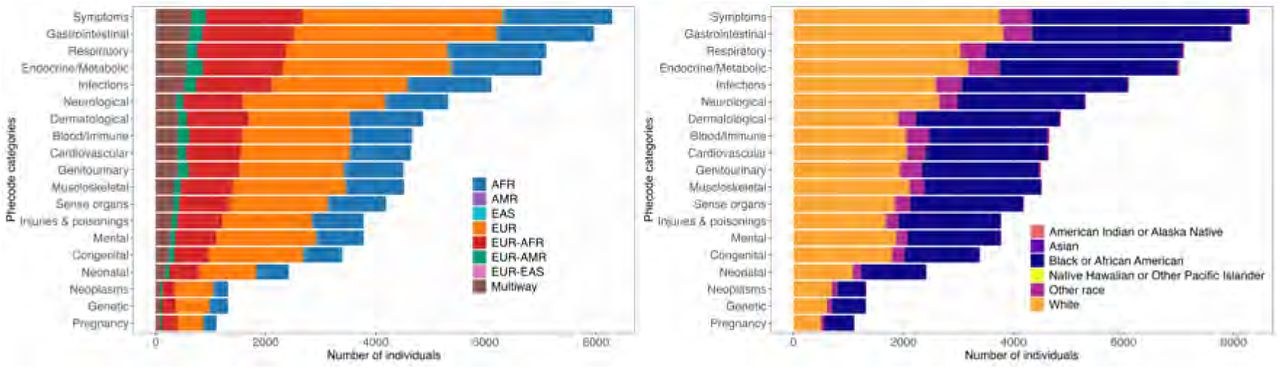 Phenotypes prevalence in electronic health records in participants with sequence data stratified by inferred ancestry (A) and self-reported race (B).Phenotypes are grouped into Phecode categories. Distribution of ancestries in Phecode categories reflect the global distribution of ancestry