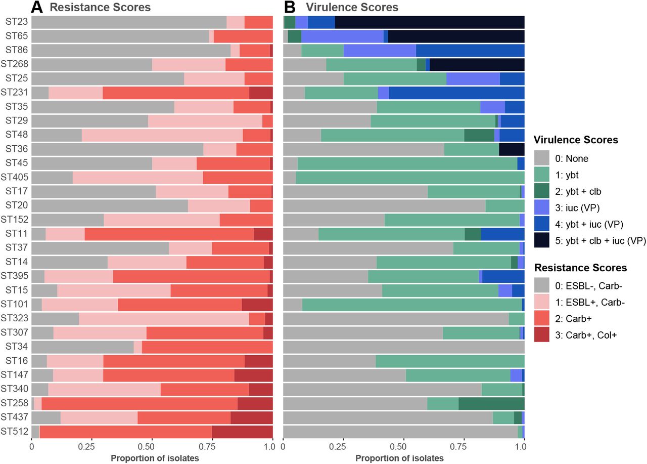 Distribution of resistance and virulence scores among genomes belonging to the 30 most common K. pneumoniae lineages.Data shown summarise Kleborate results for non-redundant set of 9,705 publicly available K. pneumoniae genomes (Table S2). Lineages were defined on the basis of multi-locus sequence types (STs) reported by Kleborate, and ordered from highest to lowest difference between mean virulence and mean resistance score. Minimum genome count per ST shown is 50. Ybt, yersiniabactin; clb, colibactin; iuc, aerobactin; VP, virulence plasmid; ESBL, extended-spectrum β-lactamase; Carb, carbapenemase; Col, colistin resistance determinant