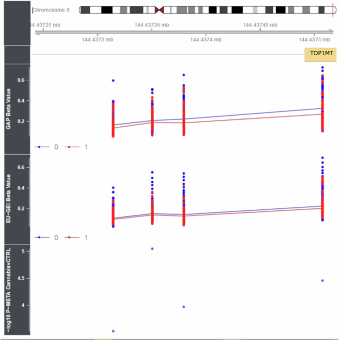 Differential DNA methylation in the promoter region of TOP1MT is associated with current frequent cannabis use.Using comb-p [38] we identified regions of differential DNA methylation associated with current cannabis use including a differentially methylated region (DMR) comprising four probes located upstream of the TOP1MT gene (Sidak corrected p value = 3.88E-07). The figure depicts the specific probes exhibiting differential methylation patterns in both cohorts, with the meta-analysis p value plotted in the bottom panel. The beta value corresponds to the DNA methylation level ranging from 0 (unmethylated) to 1 (methylated). Groups are labelled as either 0 (control) or 1 (current cannabis user).