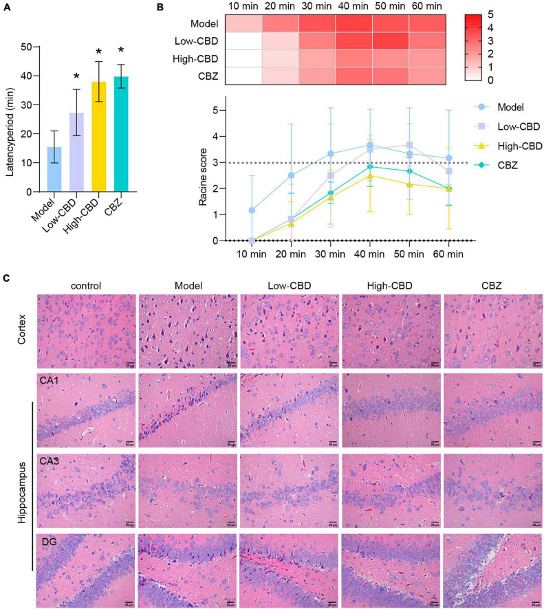 Cannabidiol (CBD) alleviates Epilepsy in rats. (A) The latency period of epileptic rat. (B) The Racine score within 1 h of modeling. (C) H&E staining results of the temporal lobe cortex and hippocampus. *Represents significant comparison with the Model group, P < 0.05. The darker the red, the higher the Racine score.