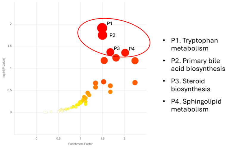 Four metabolic pathways were significantly influenced by hemp fiber supplementation across all time points (supplement main effects, p < 0.05). The color and size of each circle corresponds to its p-value and enrichment factor, respectively. The large red circles indicate the most significant pathways influenced by hemp fiber supplementation.