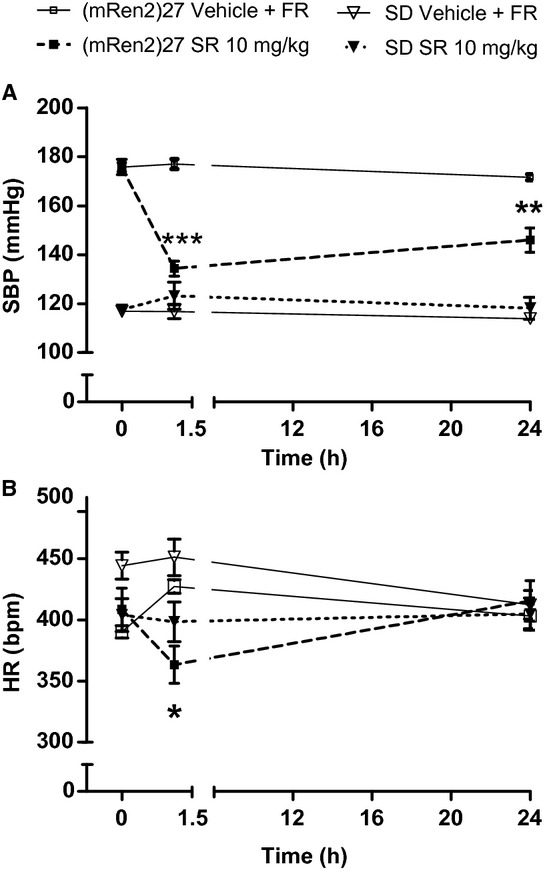 Acute systemic administration of CB1 receptor antagonist SR141716A lowers SBP (A) and transiently lowers HR (B) in (mRen2)27 rats but has no effect in SD rats. *P < 0.05 versus baseline; **P < 0.01; ***P < 0.001; n = 5 all groups. SR refers to SR141716A; FR = food restriction.