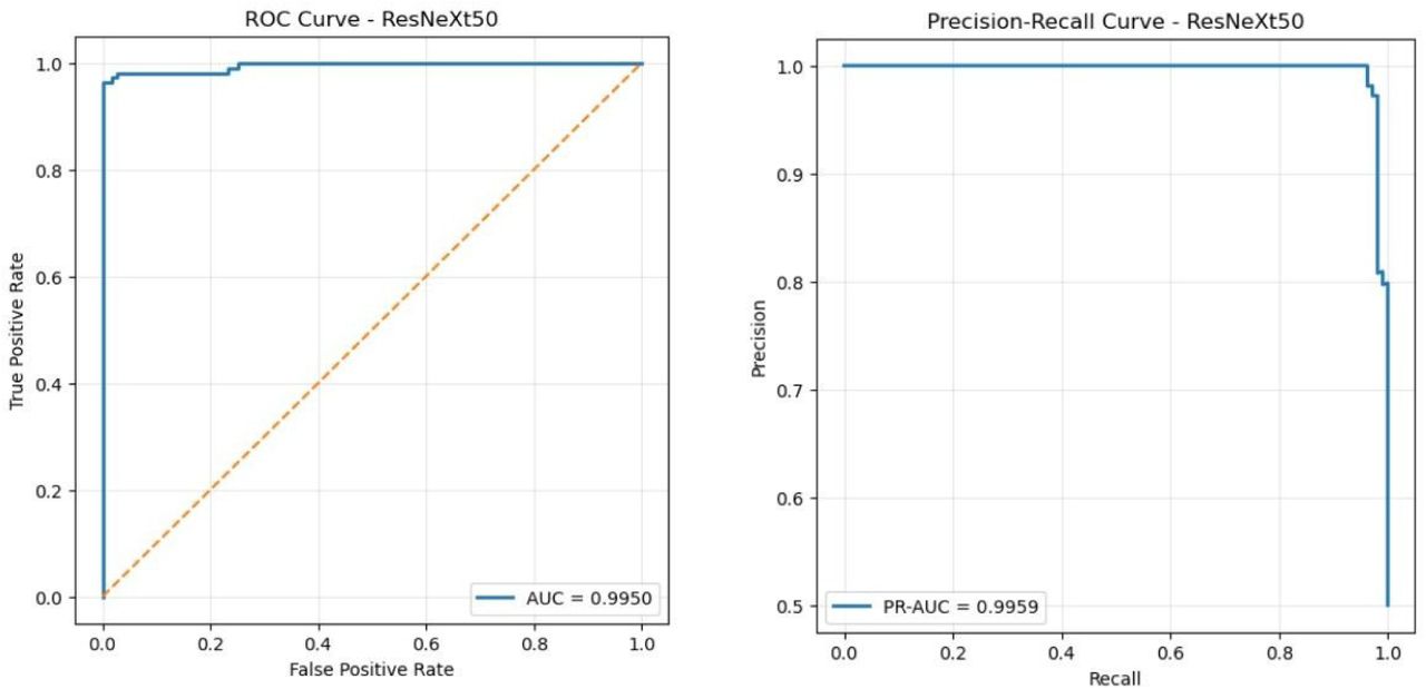 Precision-Recall Curve and ROC Curve for ResNeXt-50 (32×4d) on the test set.