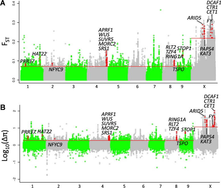Selection scans of cultivated cannabis. A Genomic landscape of FST values between cultivated cannabis and wild cannabis. B Genomic landscape of Δπ values (θπwild/θπcultivated). The red lines indicate the top 1% value. The red dots indicate the values of the genes at the corresponding positions