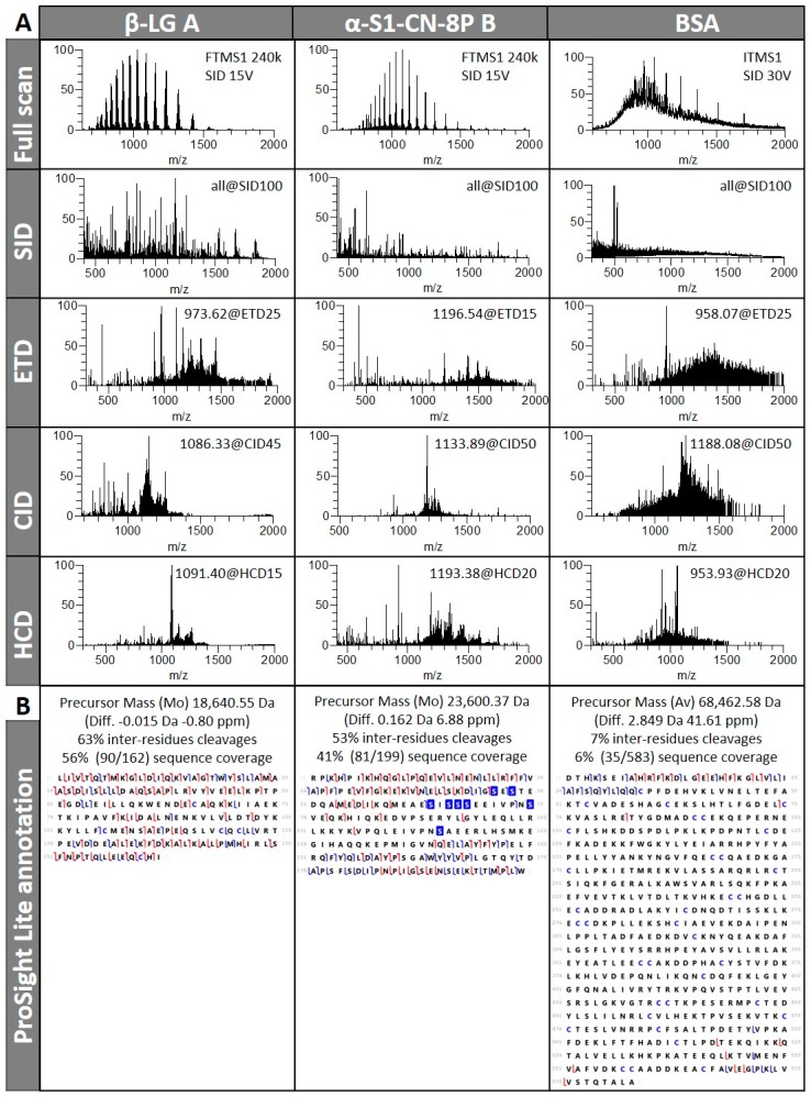 Excerpts of results for β-lactoglobulin (β-LG), α-S1-casein (α-S1-CN), and bovine serum albumin (BSA). (A) Examples of FTMS and FTMS/MS spectra using SID, ETD, CID, and HCD; (B) global AA sequence coverage when all MS/MS data are considered.