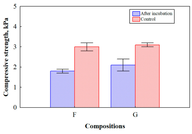 Compressive strength of BcBs before and after incubation for 6 months with mix of P. putida and Rh. oryzae. Measurements for F and G compositions with or without inoculation (control) with microorganisms are demonstrated. Experiments were performed in triplicate, and the average values and standard deviations are shown.