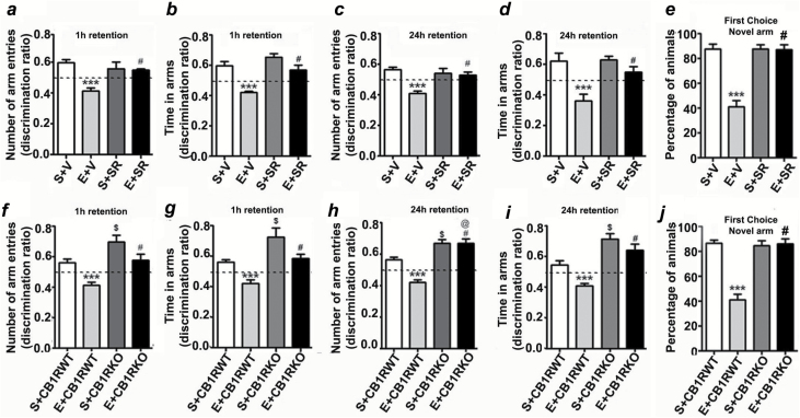 P7 ethanol treatment impairs and SR pretreatment rescues impaired spatial memory performance as measured by the Y maze. Discrimination ratio (preference for the novel arm over the familiar or other arm: Novel/Novel + Other) for arm entries (a and c) and dwell time (b and d) of S+V- and E+V-treated mice with or without SR in the Y maze at 1h and 24h after the first encounter with the partially-opened maze. The dashed line indicates chance performance (0.5). (e) The percentage of animals selecting the novel arm as the first choice is shown for S+V- and E+V-treated mice with or without SR at 1h and 24h after the first encounter with the partially-opened maze. Each point is the mean ± SEM (n = 8 mice/group). Two-way ANOVA with Bonferroni’s post hoc test: ***p < 0.001 vs. S + V; #p < 0.05 vs. E + V. Discrimination ratio (preference for the novel arm over the familiar or other arm: Novel/Novel + Other) for arm entries (f and h) and dwell time (g and i) of S+CB1RWT, E+CB1RWT, S+CB1RKO, and E+CB1RKO mice in the Y maze at 1h and 24h after the first encounter with the partially-opened maze. The dashed line indicates chance performance (0.5). (j) The percentage of animals selecting the novel arm as the first choice is shown for S+CB1RWT, E+CB1RWT, S+CB1RKO, and E+CB1RKO mice at 1h and 24h after the first encounter with the partially-opened maze. Each point is the mean ± SEM (n = 8 mice/group). Two-way ANOVA with Bonferroni’s post hoc test: ***p < 0.001 vs. S + V; #p ≤ 0.01 vs. E ± V; $ p ≤ 0.01 vs. S ± CB1RWT; @ p ≤ 0.01 vs. S ± CB1RWT.