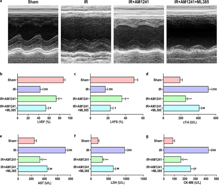 Protective effect of AM1241 on cardiac function of rats with MIRI. a–c Echocardiography was carried out to evaluate the cardiac function indexes of ejection fraction (LVEF) and shortening fraction (LVFS) of rats. d–g The level of cTnl, AST, LDH, and CK-MB in serum of rats in each group. Results were presented as mean ± SD (n = 4). $$$p < 0.001 and $$$$p < 0.0001 versus sham group; **p < 0.01 and ***p < 0.001 versus IR group; #p < 0.05 and ##p < 0.01 versus IR+AM1241 group.
