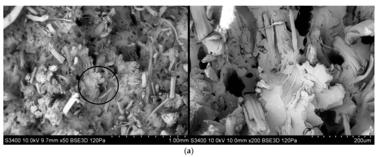 SEM photographs of fractures for biocomposites samples filled with fibers of (a) hemp, (b) flax and (c) wood; (d) SEM photograph for pure PHBV.