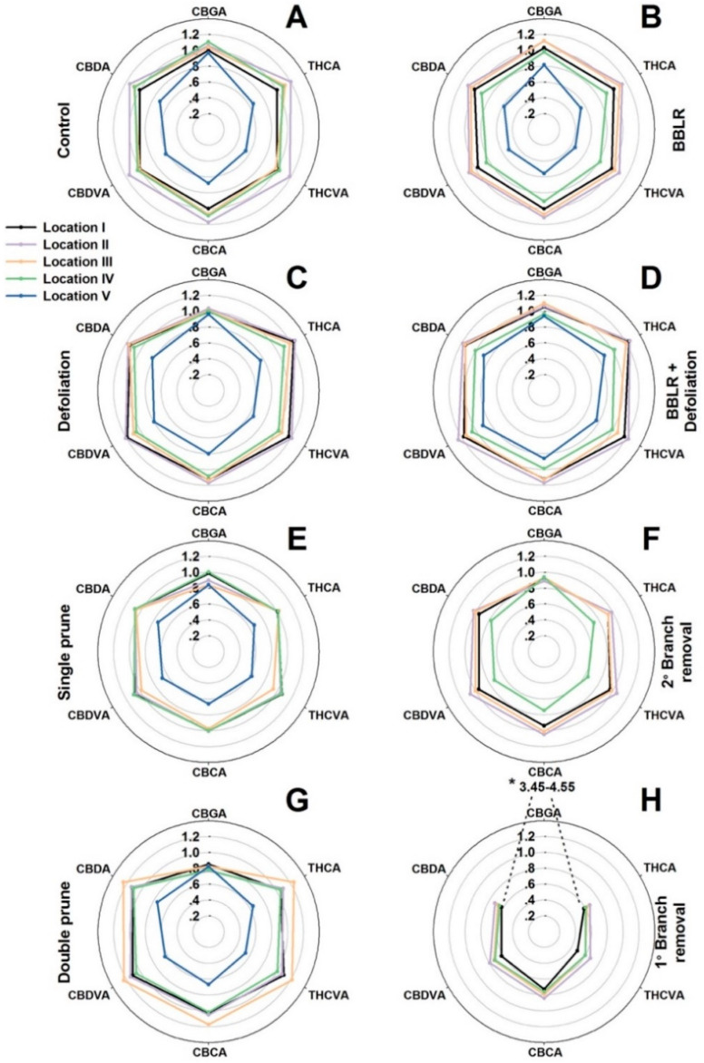 Relative concentrations of six cannabinoids at five locations along the plant, as affected by plant architecture-manipulation treatments: “Control” (A), “Defoliation” (B), “Defoliation + BBLR” (C), “BBLR” (D), “2° Branch removal” (E), “1° Branch removal” (F), “Single prune” (G), “Double prune” (H). Presented results for each cannabinoid are ratios relative to the concentration at the apical inflorescence on the main stem (location I) of the “Control” plants. CBGA levels in the “1° Branch removal” treatment were 3.45–4.55 (out of the scale of the unified spider charts). Data are means of six replicated plants per treatment (n = 6). “BBLR”—removal of leaves and branches from the bottom part of the plant. The treatments are detailed in Section 3.2.
