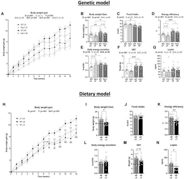 Both ω-3 PUFA supplementation and endogenous ω-3 PUFA production improved body weight gain and energy efficiency. Panels (A–G) refer to the genetic model and (H–N) to the dietary model. (A, H) Body weight gain excursion curve and (B, I) total body weight gain. (C, J) Daily food intake, (D, K) energy efficiency, and (E, L) daily energy excretion. (F, M) Visceral white adipose tissue weight. (G, N) plasma leptin. Values are means ± SEM of n = 9–13 mice per group. For the genetic model: two-way ANOVA followed by Tukey’s post-hoc test. P-values of main effects for diet (D) and gene (G) or diet × gene (D × G) interaction are recorded under the title of each graph. For the dietary model: one-way ANOVA followed by Dunnett’s post-hoc test compared to HF-ω6 group. Dotted line represents LF-ω6 group as a reference. *P < .05, **P < .01, ***P < .001.