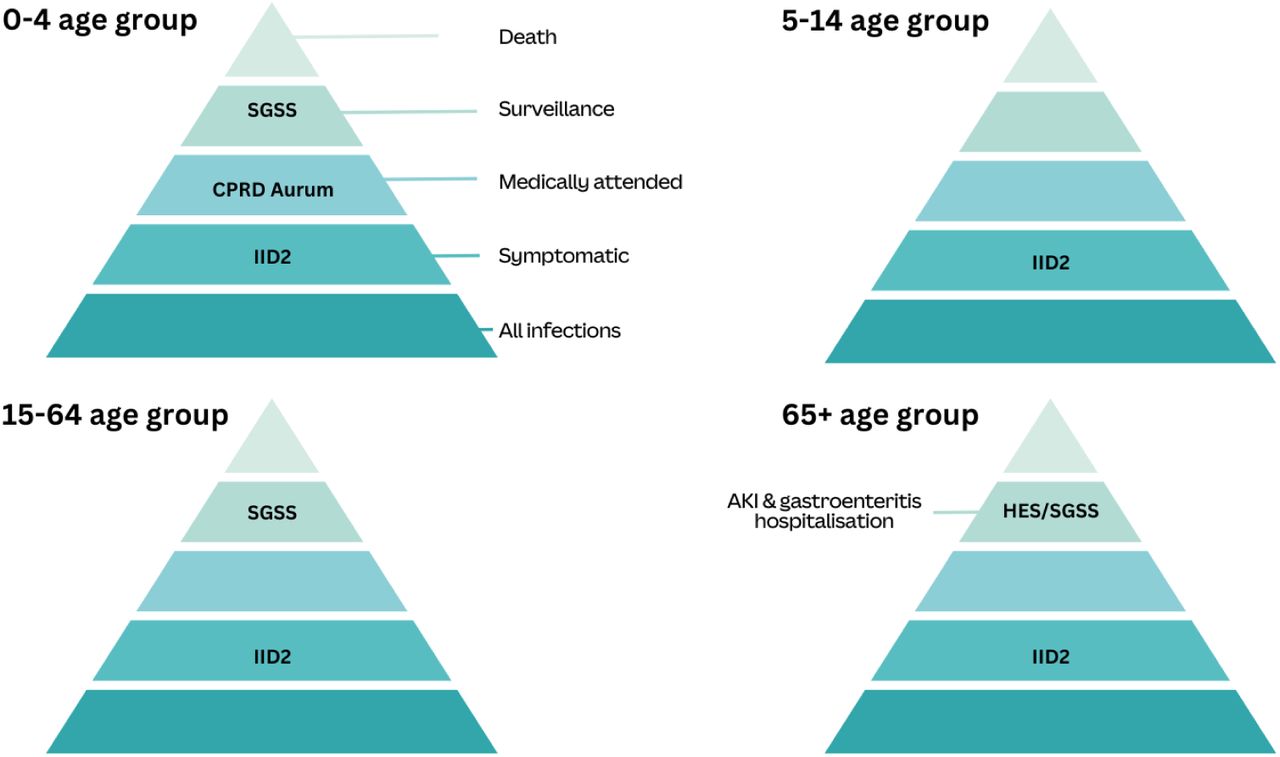 Schematic of the surveillance pyramid stratified by age. Each source of data captured different segments of the pyramid. We assumed that norovirus dynamics vary across age groups, meaning certain data sources more accurately reflect these dynamics in specific age groups. Within each age group, we label the data source used to fit the model. SGSS, Second Generation Surveillance System; CPRD Aurum, Clinical Practice Research Datalink Aurum; IID2, Longitudinal study of infectious intestinal disease in the UK (24); HES, Hospital Episode Statistics.