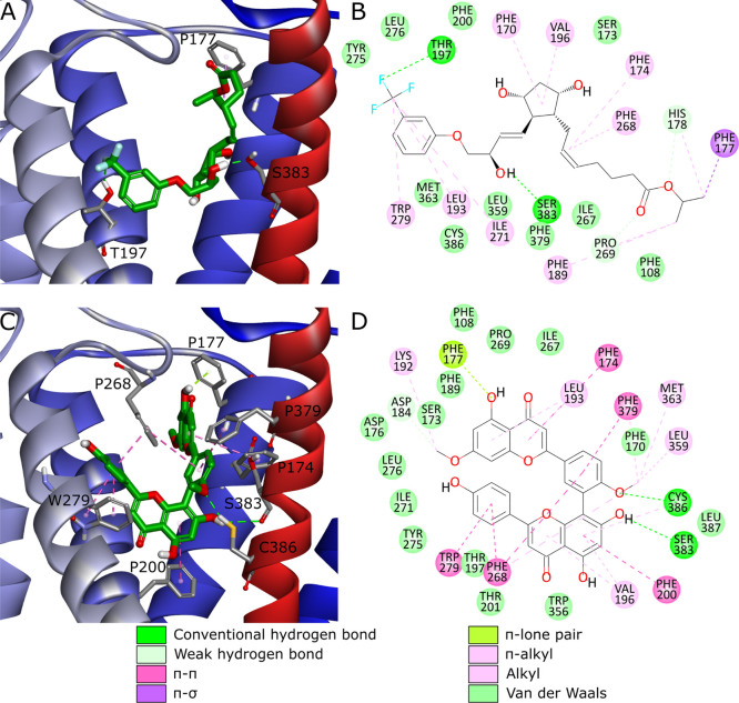 Two most potent CB1 ligands from the first iteration—travoprost (compound 9, ZINC000004474682) (A,B) and ginkgetin (15, ZINC000001531664) (C,D). Putative poses and binding modes obtained from docking to PDB ID: 5XR8. Ligands are depicted in green stick representation, amino acids that are crucial for ligand binding—grey stick representation. Part of TM6 not shown to increase readability.