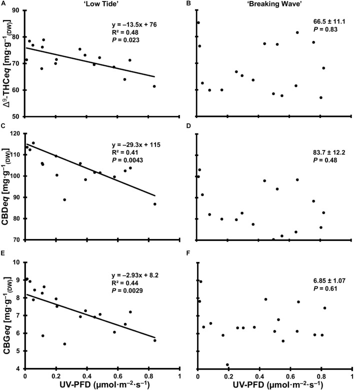 The total equivalent cannabinoid concentrations of Δ9-tetrahydrocannabinol (Δ9-THCeq) of Cannabis sativa ‘Low Tide’ (A) and ‘Breaking Wave’ (B), cannabidiol (CBDeq) of ‘Low Tide’ (C) and ‘Breaking Wave’ (D) and cannabigerol (CBGeq) of ‘Low Tide’ (E) and ‘Breaking Wave’ (F) in response to increasing UV-PFD. Each datum is a single plant.
