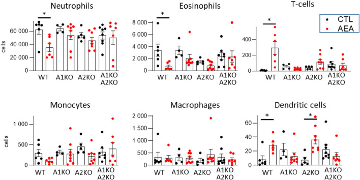 AEA increases T-cell number through NR4A receptors in the AirPouch Zymosan model. Analysis of cellular infiltrate in murine AirPouch exudates after control (CTL) or AEA nanoformulation (AEA) pre-treatment (1 h) followed by zymosan stimulation (6 h) in mice inheriting a knockout for NR4A1−/− (A1KO), NR4A2−/− (A2KO) or double knockout for NR4A1/2−/−, compared to control mice (also shown in Figure 1). Mice without knockout on the floxed/cre background served as control (WT). Each data point represents an animal showing the total number of cells recovered by FACS analysis. 1-way ANOVA and Mann-Whitney test. n = 4–8. *p < 0.05.