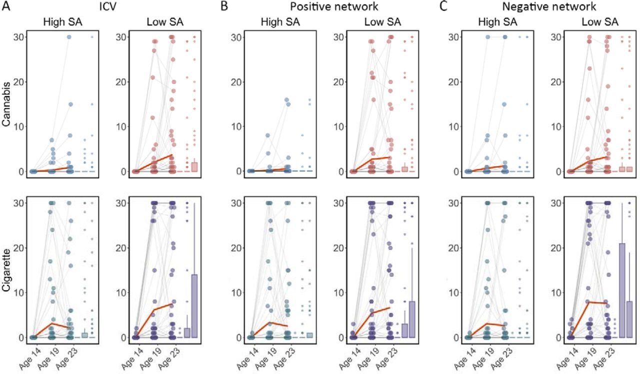 Cigarette and cannabis score in Timeline Followback changes in individuals with high sustained attention (High SA) and low sustained attention (Low SA) from ages 14 to 23. Participants were categorized into five equal groups based on the intra-individual coefficient of variation (ICV), strength of positive network, and strength of negative network at age 14. (A) Top ICV (Low SA) and bottom ICV (High SA) groups. (B) The top strength of the positive network (Low SA) and bottom strength of the positive network (High SA) groups derived from Go trials. (C) The top strength of the negative network (High SA) and bottom strength of the negative network (Low SA) groups derived from Go trials. Note that the higher strength of the negative network reflects lower ICV and higher sustained attention.