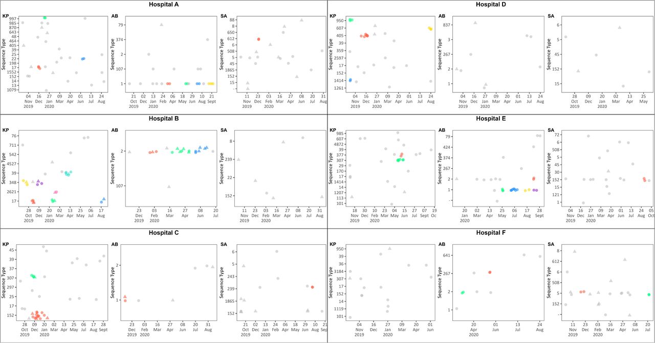 K. pneumoniae, A. baumannii and S. aureus infection clusters detected using the SNP-EPI cluster criteria for hospitals (A-F), by sequence type and time, September 2019 through to October 2020. Key: KP: K. pneumoniae; AB: A. baumannii; SA: S. Aureus Colors denote distinct clusters, circles and triangles denote case-patients in neonatal and other wards, respectively. Other wards included general pediatric wards, pediatric intensive care units (ICU), general ICU and/or high care wards. The grey dots (bg) represent cases that were not categorized as part of clusters by the SNP-EPI criteria.
