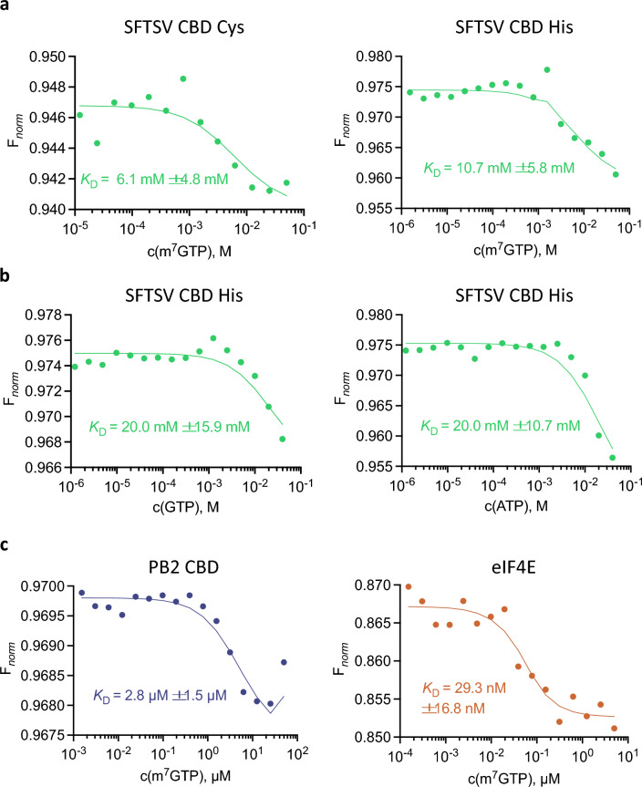 Microscale thermophoresis experiments. Normalized MST binding curves of labelled proteins titrated with m7GTP, GTP or ATP. (a) 100 nM SFTSV CBD Cys (left) and 100 nM SFTSV CBD His (right) are titrated with m7GTP. (b) 100 nM SFTSV CBD His was titrated with GTP (left) and ATP (right). (c) The control proteins PB2 (50 nM, left) and eIF4E (50 nM, right) were titrated with m7GTP. The analysis was done with ThermoAffinity (spc.embl-hamburg.de)25 and plots were created in GraphPad Prism 9.5.
