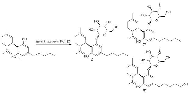 Biotransformation of CBD (1) by Isaria fumosorosea KCh J2 * Previously undescribed compounds.