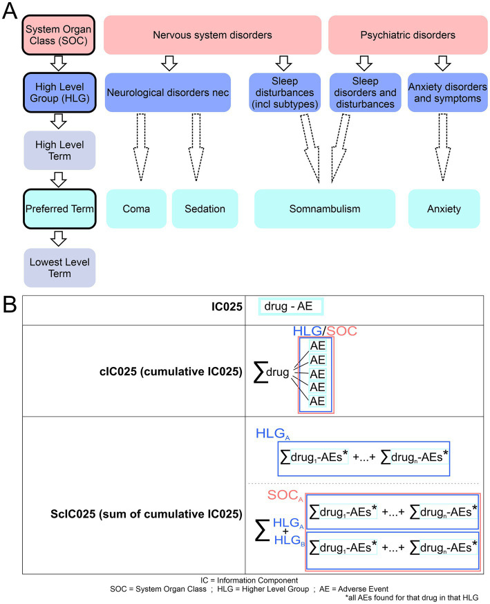 Overview of MedDra dictionary system and employed IC025 usage. (A) The five levels of MedDra hierarchy are displayed with specific examples to them; red: system organ class (SOC); blue: High level group (HLG), Cyan: Preferred term (PT). Arrows indicate the direction from higher levels to lower levels, dashed arrows indicate that we surpass the high level terms in the analysis shown in this work. (B) Different IC025 values and their respective calculations are shown. IC025 reflects on the drug-AE association; cIC025 is the sum of all IC025s for a drug within an HLG; ScIC025 gives the summation of cumulative IC025s for a HLG or SOC.