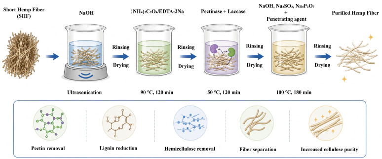 The impurity removal process for seed-type hemp fibers using ammonium oxalate–complex enzyme–chemical and EDTA-2Na–complex enzyme–chemical methods, including ultrasonic treatment, chelation, enzymatic reaction, and chemical washing (recreated according to reference [40]).