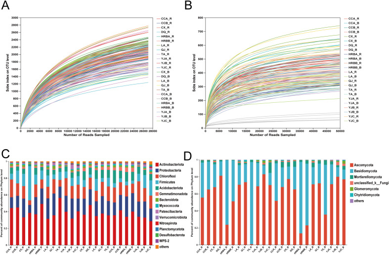 Graphs show microbial diversity analysis. Panels A and B depict rarefaction curves, illustrating Sobs index versus number of reads sampled. Panels C and D display stacked bar charts showing community composition at phylum level. Various colors represent different bacterial and fungal groups, with legends indicating their classifications.