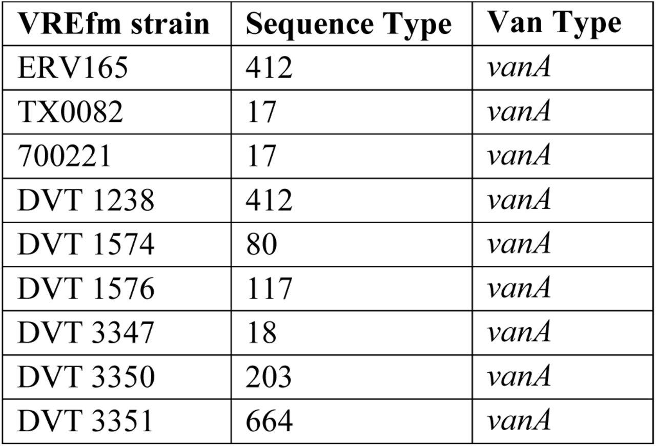 VREfm strain information.