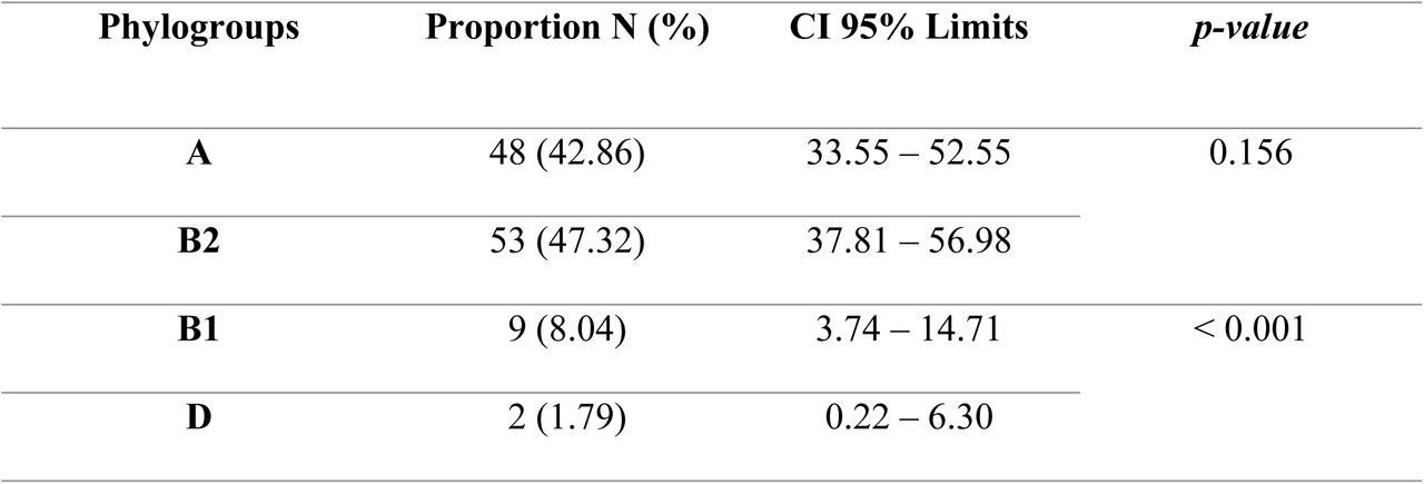 Distribution of ESBL E. coli isolates according to the phylogroups detected