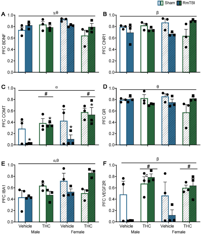 Graphical depictions of the RT-qPCR results in the PFC as mean ± SEM for the post-injury THC administration groups. White and white hashed bars display sham groups (males and females, respectively), while blue and green bars display RmTBI groups. Statistical significance symbols are displayed above the bars (α) indicates a main effect for sex, (*) indicates a main effect for RmTBI, (#) indicates a main effect for THC, (β) indicates a RmTBI by THC interaction, (γ) indicates a sex by THC interaction and (θ) indicates a sex by RmTBI by THC three-way interaction.