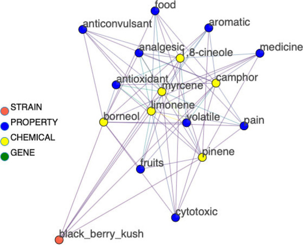 Sub-graph showing therapeutic properties associated with a group of monoterpenes commonly found in Blackberry Kush