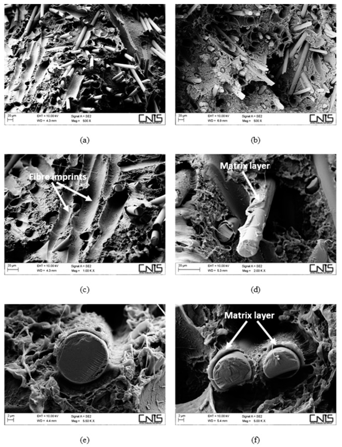 SEM micrographs detailing the fracture surface of aged composites, reinforced with 30 wt % of basalt fibres without (a,c,e) and with (b,d,f) a coupling agent.