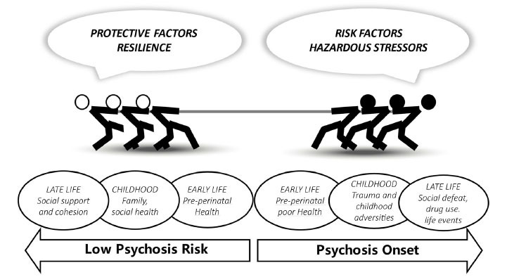 Schematic of the hypothesized impact of risk vs. protective environmental factors on psychosis risk across developmental stages.