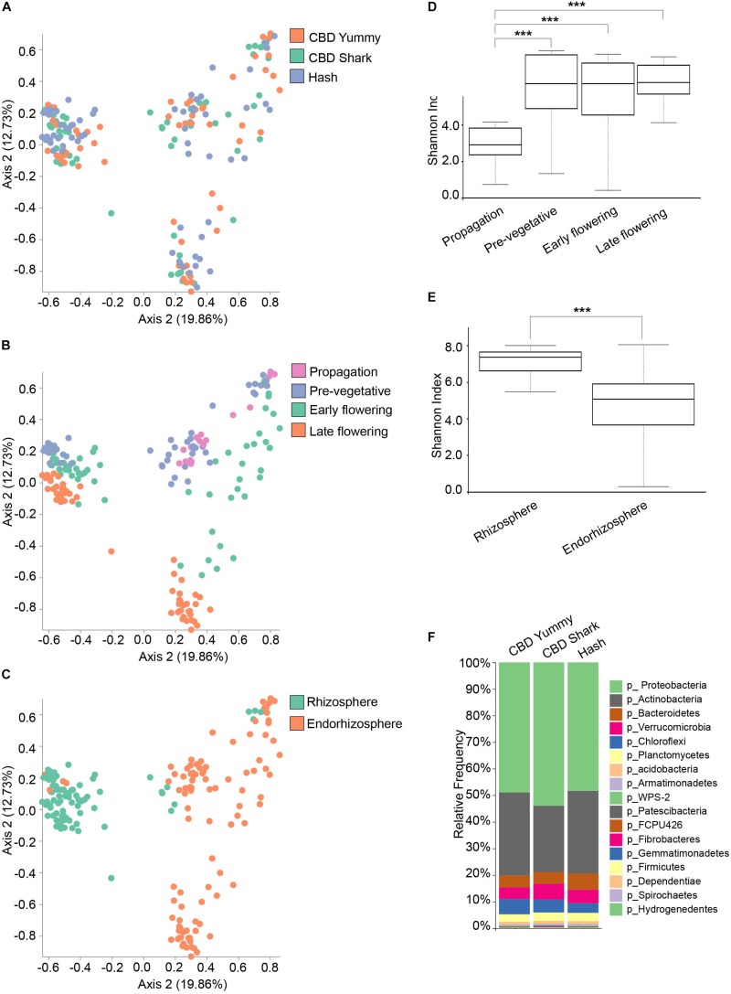 Diversity metrics and taxonomical differences in the bacterial microbiome of cannabis. (A) PcoA plot representative of inter-cultivar beta-diversity utilizing Bray–Curtis dissimilarity among samples (PERMANOVA: R2 = 0.018, p = 0.001). Each point represents a sample (CBD Yummy, n = 69; CBD Shark, n = 69; Hash, n = 70). (B) PcoA plot representative of temporal beta-diversity utilizing Bray–Curtis dissimilarity among samples (PERMANOVA: R2 = 0.18, p = 0.001). Each point represents a sample (Propagation, n = 30; Pre-vegetative, n = 60; Early flowering, n = 58; Late flowering, n = 60). (C) PcoA plot representative of spatial beta-diversity utilizing Bray–Curtis dissimilarity among samples (PERMANOVA: R2 = 0.12, p = 0.01). Each point represents a sample (Rhizosphere, n = 88; Endorhizosphere, n = 120). For all PcoA plots, axis 1 and axis 2 represent the percentage of variance explained by each coordinate. (D,E) Alpha-diversity metric (Shannon’s index) of temporal and spatial variations amongst groups, respectively. Kruskal–Wallis pair-wise test was used to assess statistical significance between groups (***p < 10e-04,**p < 0.001,*p < 0.05 only statistically significant values are shown, non-significant groups are not represented). (F) Bar plot of the relative frequency of bacterial taxa at the phylum level in the three chemotypes studied (CBD Yummy, n = 69; CBD Shark, n = 69; Hash, n = 70).