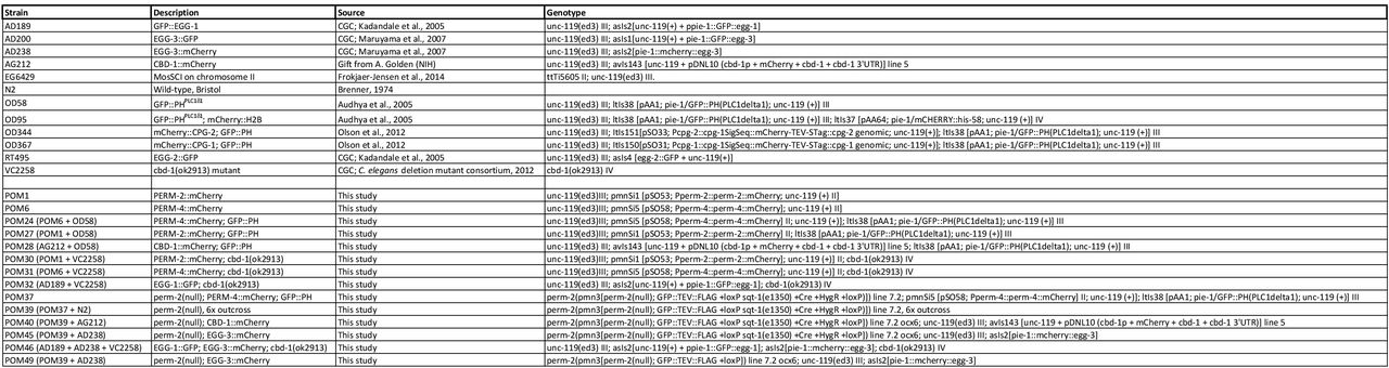 Worm strains used in this study