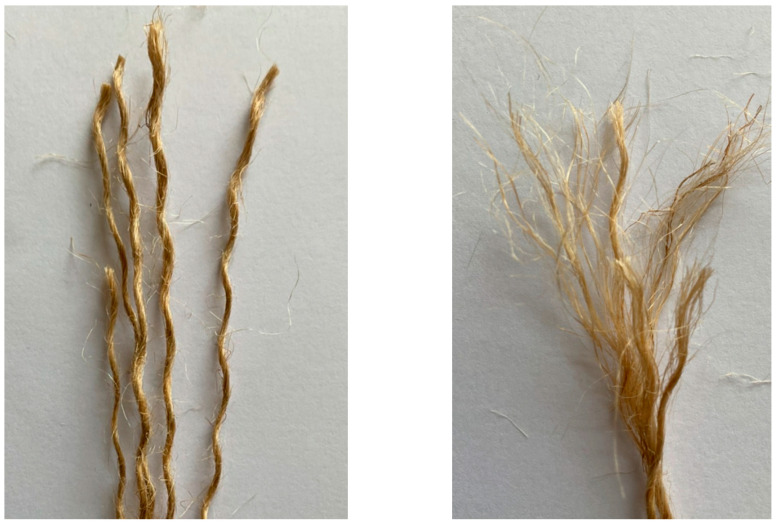 Hemp fiber used in this research work.