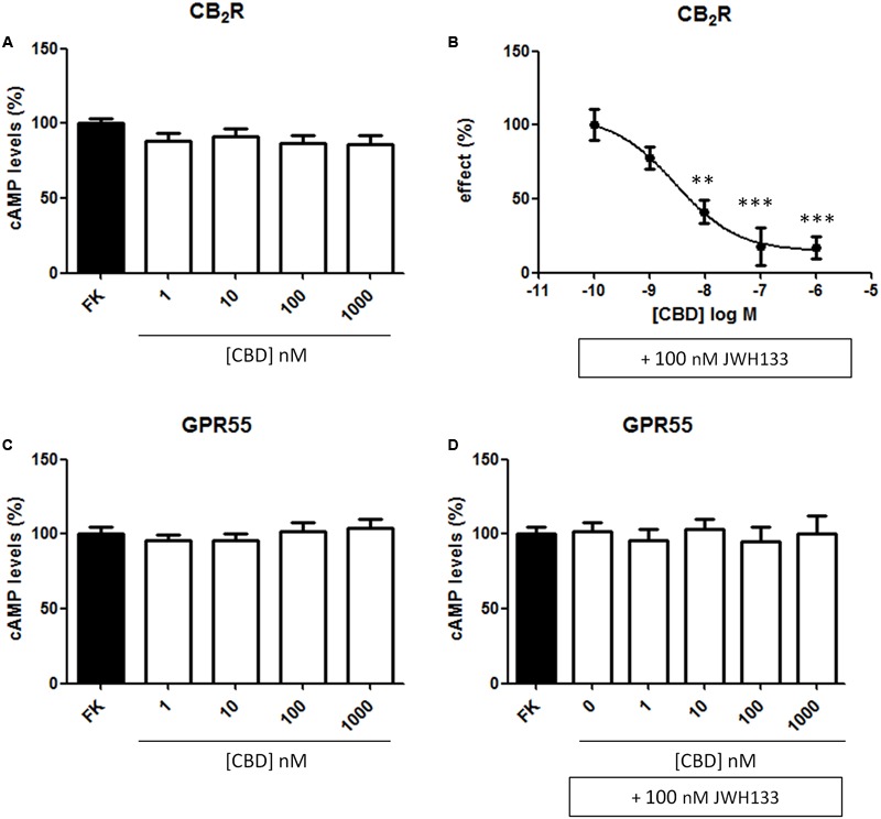 Dose-response effect of CBD on cAMP levels. HEK-293T cells were transiently transfected with cDNA encoding for human CB2 (A,B) or GPR55 (C,D) receptors. The effect of CBD on the decrease by JWH133 of forskolin-induced cAMP levels is displayed as a dose-response curve (B). Cells were treated (15 min) with different concentrations of CBD in the absence or presence of 100 nM JWH133, a selective CB2R agonist and, finally, with 0.5 μM forskolin (15 min). Agonist-induced reduction in cAMP was 31 ± 4 and data (mean ± SEM) are given in percentage of the 500 nM forskolin-induced cAMP concentration. Significant differences were analyzed on data from seven different experiments; one-way ANOVA and Bonferroni’s multiple comparison post hoc test were used for statistical analysis (F4,71 = 15, p < 0.001) (∗∗p < 0.01, ∗∗∗p < 0.001, versus 0 nM CBD treatment).