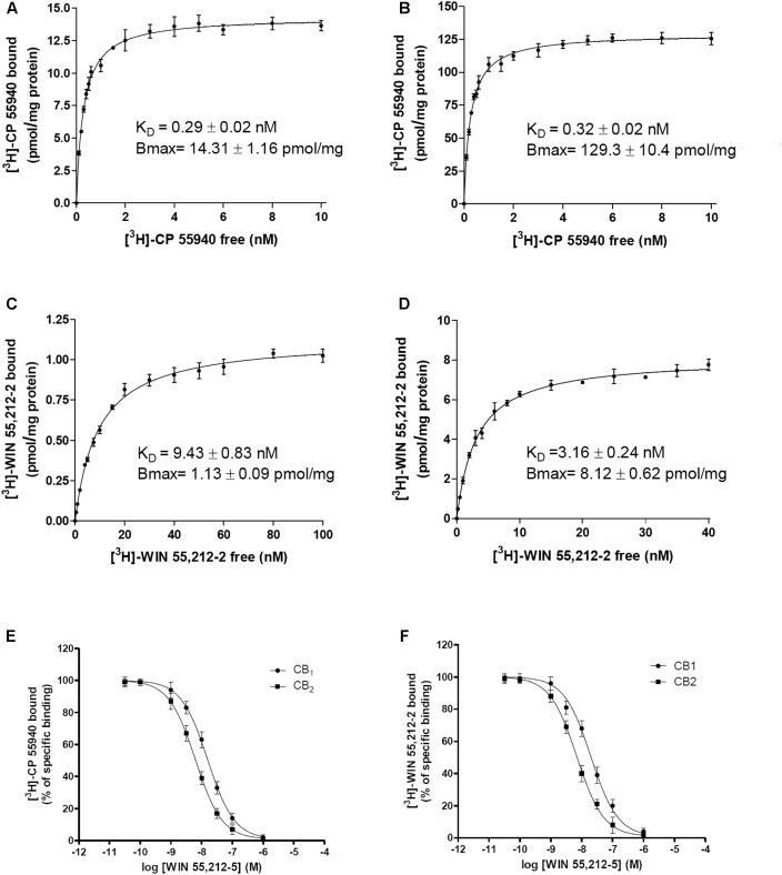 Radioligand binding assays to CB1R and CB2R. (A–D) Saturation curves of either [3H]-CP-55940 or [3H]-WIN-55,212-2 binding on membranes from CHO cells stably expressing human CB1R (A,C) or CB2R (B,D). (E,F) Competition curves for WIN-55,212-2 in radioligand-based assays using either [3H]-CP-55940 (E) or [3H]-WIN-55,212-2 (F) binding on membranes from CHO cells stably expressing human CB1R or CB2R. Data are expressed as the mean ± SEM of five independent experiments performed in duplicate. KD (obtained from saturation isotherms) are shown in Table 1.