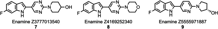 4R-tau ligands identified through a previous in silico chemical database fingerprint search.46