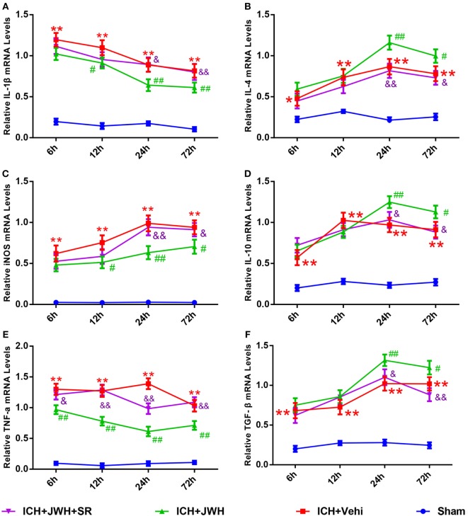 Inflammation cytokines at messenger RNA level in acute phase after intracerebral hemorrhage (ICH). Interleukin-1β (A), iNOS (C), and tumor necrosis factor-α (E) are pro-inflammatory cytokines, and the IL-4 (B), interleukin-10 (D), and transforming growth factor beta (F) are anti-inflammatory cytokines. The values were mean ± SD, n = 6 in each group. *P < 0.05, **P < 0.01 compared with sham group, #P < 0.05; ##P < 0.01 compared with ICH + Vehi group; &P < 0.05, &&P < 0.01 compared with ICH + JWH group.