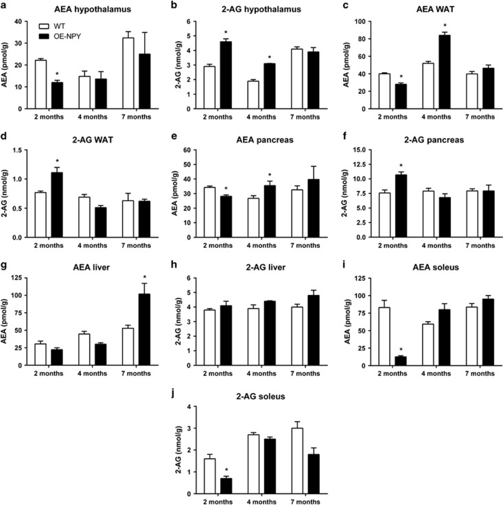 Tissue endocannabinoid levels. AEA and 2-AG levels in the (a, b) hypothalamus, (c, d) epididymal WAT, (e, f) pancreas, (g, h) liver and (i, j) soleus muscle of WT and OE-NPYDβH mice. Values are expressed as means±s.e.m., n=4. White bars=WT, black bars=OE-NPYDβH. *P<0.05 with ANOVA followed by the Bonferroni's test.