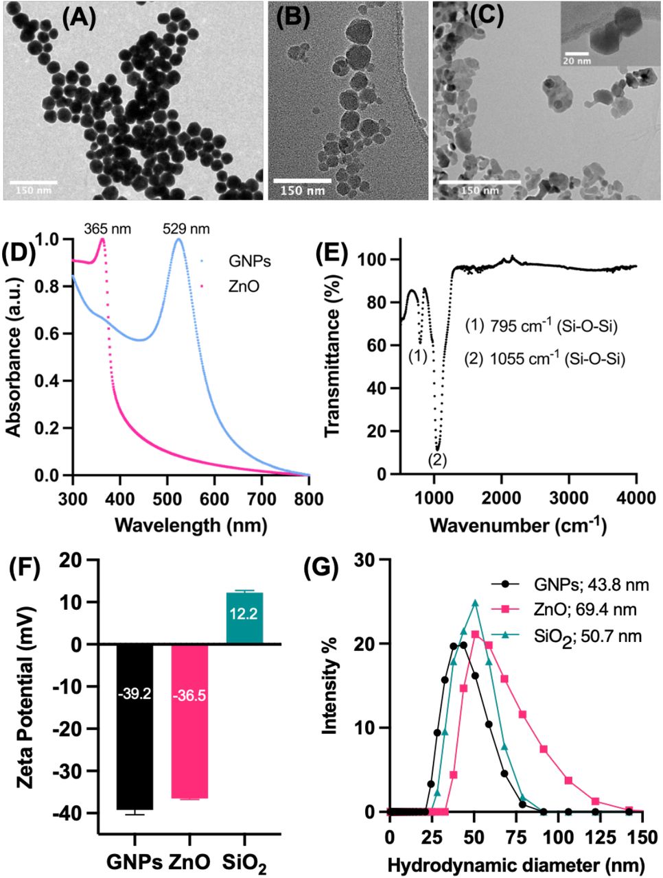 Physico-chemical characterization of inorganic NPs (Gold – GNPs; Zinc Oxide – ZnO; Silica oxide – SiO2). Transmission electron microscopy images of (A) GNPs, (B) SiO2 and (C) ZnO NPs. (D) UV-Vis absorption spectrum of ZnO and GNPs in water; (E) FTIR spectrum of SiO2 NPs; (F) Zeta potential; and (G) Hydrodynamic diameter obtained using Dynamic light scattering (DLS). Error bars represent the standard deviation of the mean n=3; N= 3.