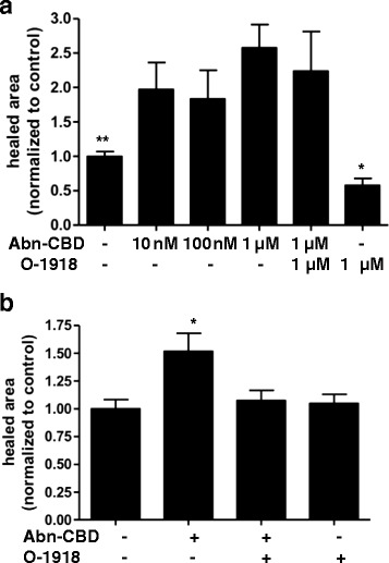 The effects of Abn-CBD treatment on wound healing. HUVEC and LoVo cells were grown to confluence in 6 well plates. Then a scratch wound was made with a pipet tip. a HUVEC cells were incubated with the respective concentrations of Abn-CBD and O-1918. Wound area size was measured at 0 and 20 h. Abn-CBD significantly accelerated wound closure in HUVEC. Additional treatment with the O-1918 did not reverse this effect. b For incubation of LoVo cells, the effective dose for Abn-CBD (1 μM) was used. Wound area was measured at 0 and 20 h. Abn-CBD significantly accelerated wound closure. The Abn-CBD effect was reversed by addition of the antagonist O-1918. Data were analyzed with one-way ANOVA with Tukey’s post-hoc test. *, p < 0.05 when compared to any other treatment; n = 5-7/group