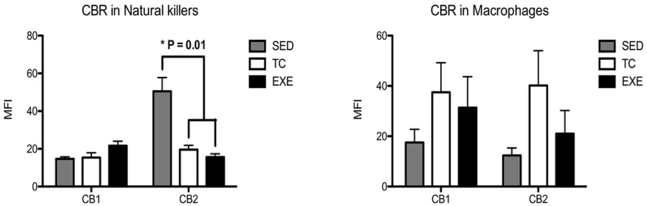 Expression of CBR in splenocyte populations related to the innate immune response.Analysis of the expression of CB1 and CB2 CBR in splenocyte populations from the innate immune response (NK’s and macrophages) among experimental groups: SED (shaded bar), TC (white bar) and EXE (Solid bar); data from 4 independent experiments are expressed as mean ± SE. Lines connecting bars represent comparison among groups, * p<0.05. Two way ANOVA and Bonferroni post-test, n=9.