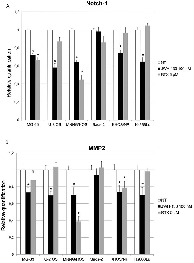 Effects of JWH-133 and RTX treatments, on Notch-1 and MMP-2 mRNA expression levelsNotch-1 (A) and MMP-2 (B) mRNA expression levels in OS cell lines determined by Q-PCR after JWH-133 [100 nM] and RTX [5 μM] treatments. Results were normalized for the housekeeping gene β-actin and are showed as mean ± SD of three independent experiments. A t- test has been performed to evaluate the statistical differences in the levels of gene expression among groups. * indicates p ≤ 0.05 compared to the untreated control (NT).