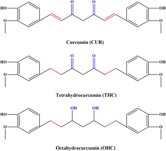 Chemical structures of curcumin (CUR), tetrahydrocurcumin (THC), and octahydrocucumin (OHC).