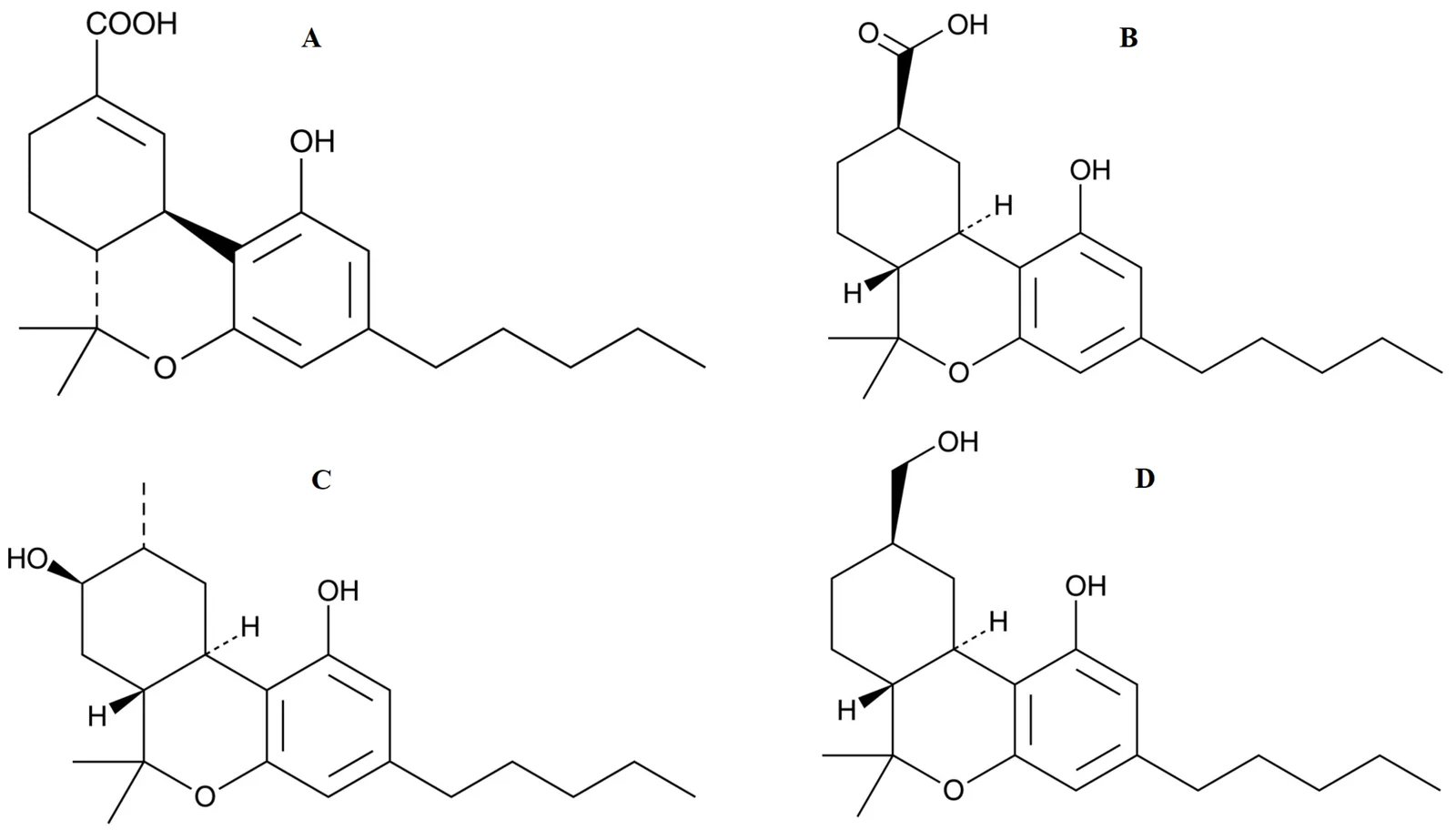 Chemical structures of the compounds studied ((A) 11-nor-9-carboxy-Δ9-tetrahydrocannabinol (THC-COOH); (B) 11-nor-9-carboxy-9(R)-hexahydrocannabinol (HHC-COOH); (C) 8-hydroxy-9(R)-hexahydrocannabinol (8-OH-9(R)-HHC); (D) 11-hydroxy-9(R)-hexahydrocannabinol (11-OH-9(R)-HHC)).