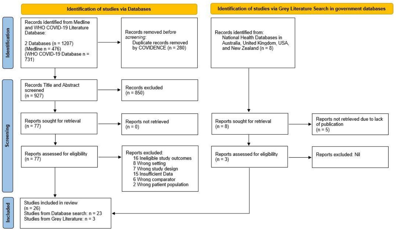 PRISMA diagram for showing screening process (adapted from Page et al. 2021)