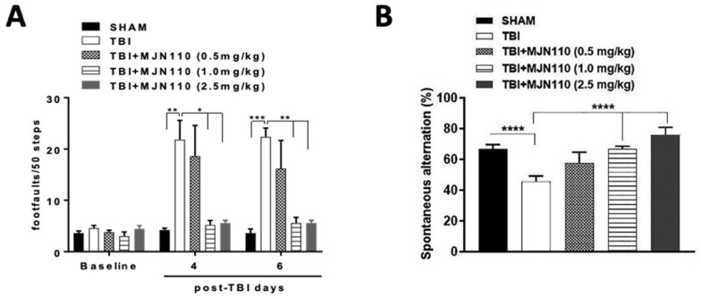 MJN110 treatment attenuated TBI induced impairment in locomotor function and working memory. (A) Effect of MJN110 on fine motor movement was assessed by beam-walk test, and the deficits in fine motor movements were recorded as foot faults on day 4 and day 6 in post-TBI animals. (* p < 0.05, ** p < 0.01, and *** p < 0.001; n = 10 animals/group) (B) Spontaneous alternation Y maze test was performed on day 13 post-injury. (**** p < 0.0001; n = 10 animals/group). Bars represent standard error of the mean (mean ± SEM).