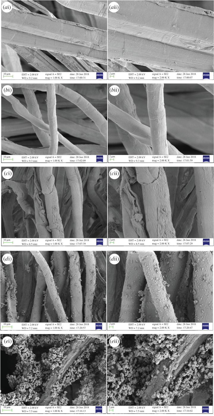 SEM images of HF (a), HF–OH (b), HF–CHO (c), HF–NH2 (d), and HF–GTA (e).