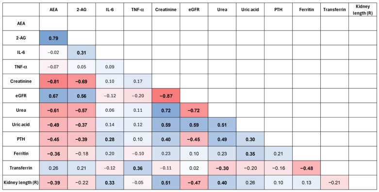 Spearman correlation heatmap showing relationships between endocannabinoids (AEA, 2-AG), inflammatory markers (IL-6, TNF-α), and selected clinical parameters in the ADPKD group. Statistically significant correlations (p < 0.05) are shown in bold. The colors in the heatmap represent the strenght and direction of the Spearman corelation coefficient. Values close to +1 indicate a strong positive correlation (red color), values close to; −1 indicate a strong negative correlation (blue color), and values around 0 indicate little or no correlation (neutral colors).
